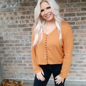 Chestnut V-Neck Button Down