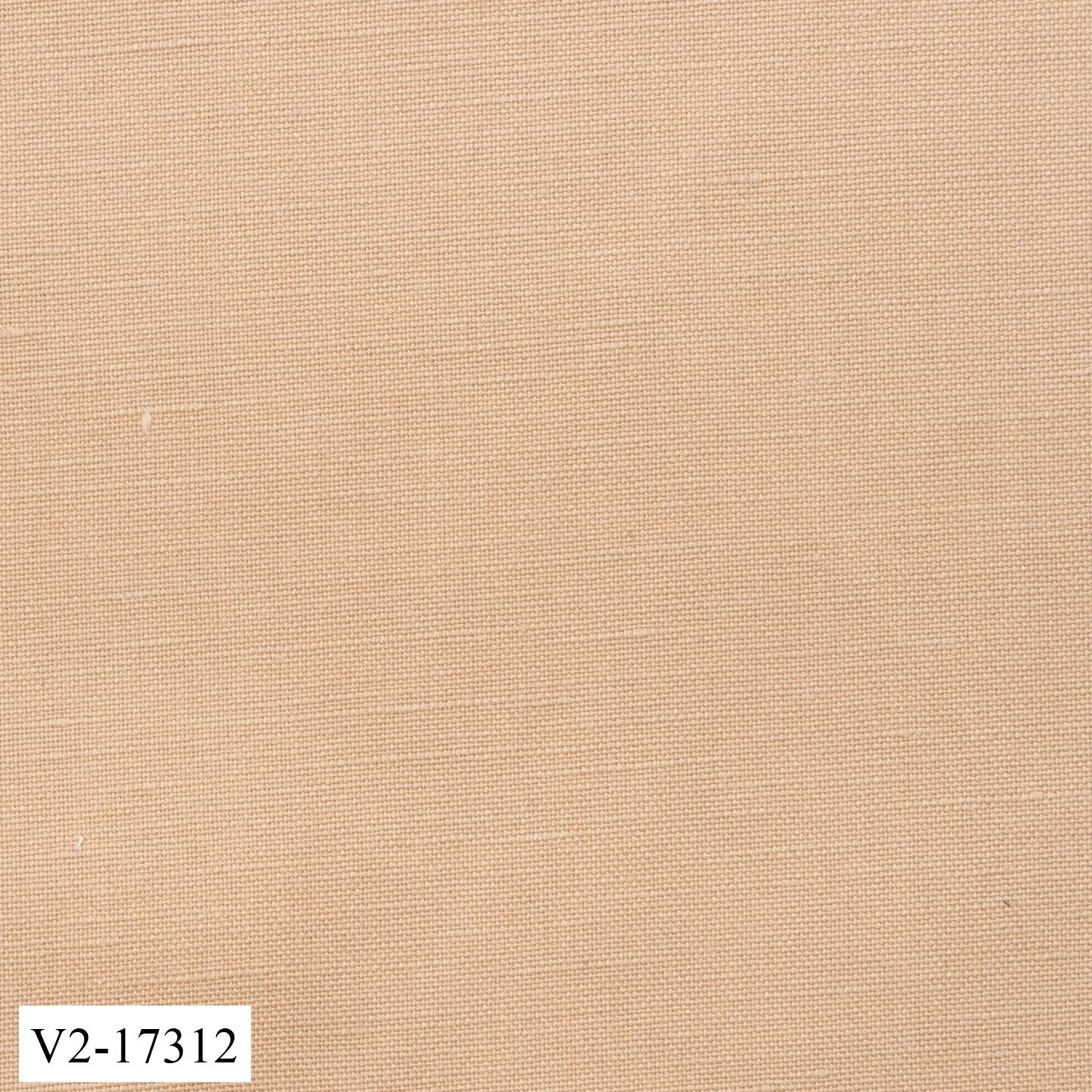 Mustard Brown Plain Suit