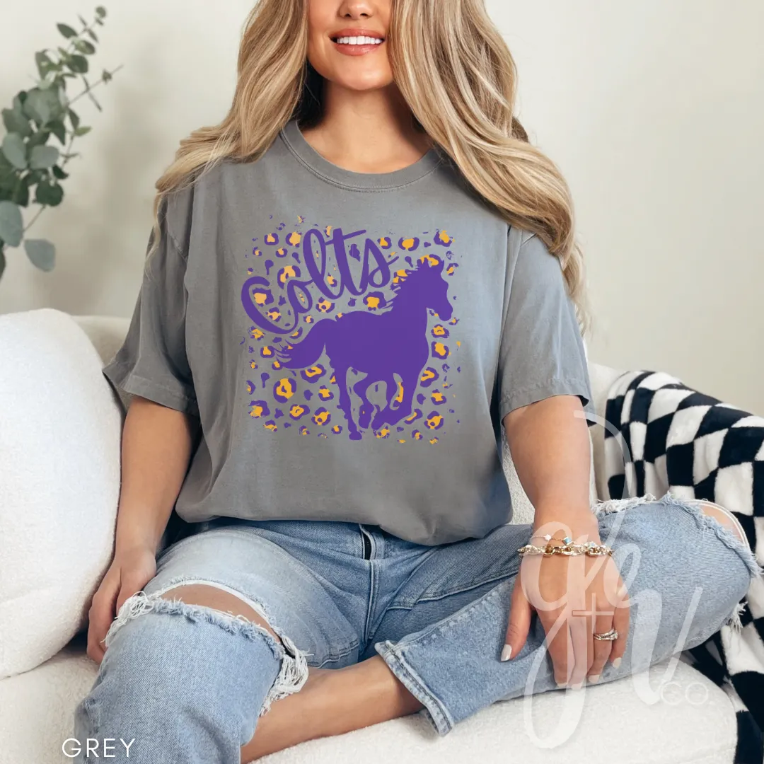 Spring Hill Schools (Tees Sweatshirts)