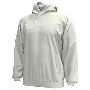UA Gameday Double Knit Hoodie - Stone
