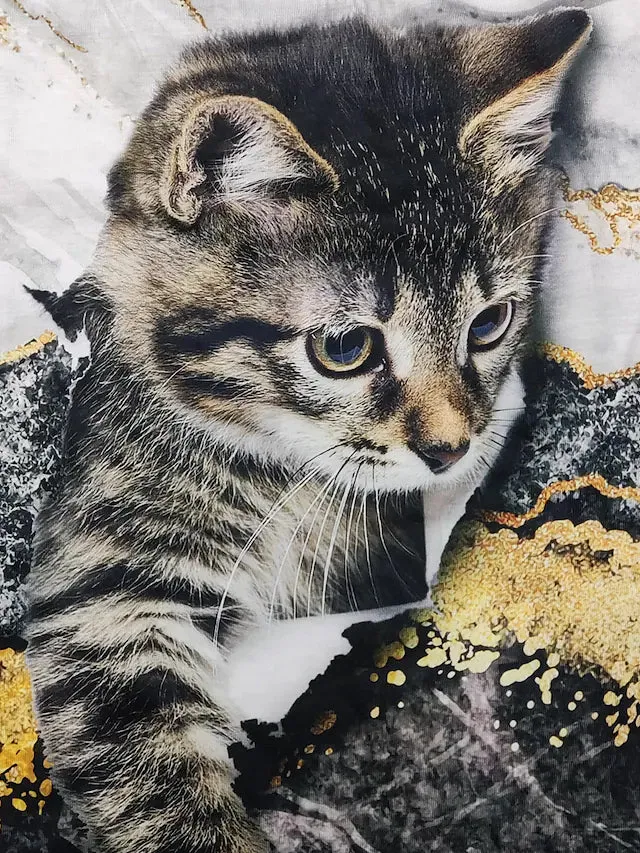 Women's T shirt Graphic Cat Print